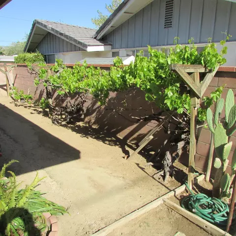 44260 12th St E, Lancaster, CA 93535 photo 38
