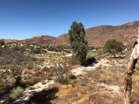 29181 Heffner Rd, Acton, CA 93510 photo 6