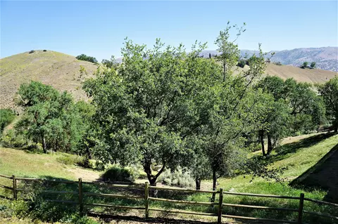 22921 Monroe Ln, Tehachapi, CA 93561 photo 15