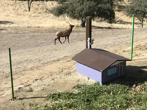 18300 Jacks Hill Rd, Tehachapi, CA 93561 photo 64