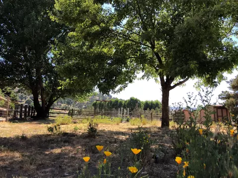 23371 Lakeview Dr, Tehachapi, CA 93561 photo 33