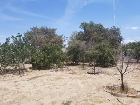 41053 E 168th St, Lancaster, CA 93535 photo 12