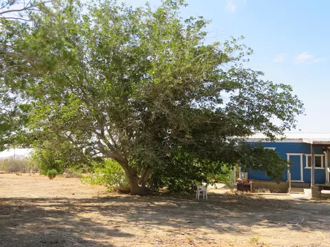 5845 Gerber Ave, Mojave, CA 93501 photo 95