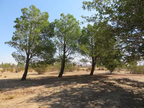5845 Gerber Ave, Mojave, CA 93501 photo 96