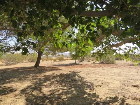 5845 Gerber Ave, Mojave, CA 93501 photo 88