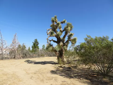5845 Gerber Ave, Mojave, CA 93501 photo 72