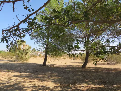 5845 Gerber Ave, Mojave, CA 93501 photo 89