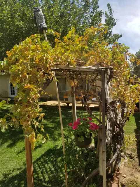 633 E Ivesbrook Street St, Lancaster, CA 93535 photo 8