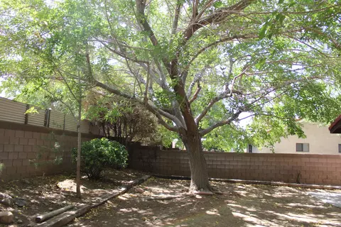 1854 Einstein St, Lancaster, CA 93535 photo 27