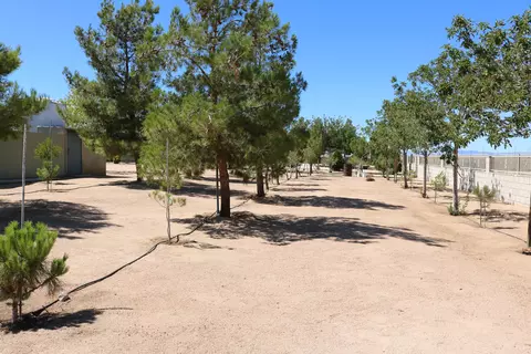 49050 130th St W, Lancaster, CA 93536 photo 21