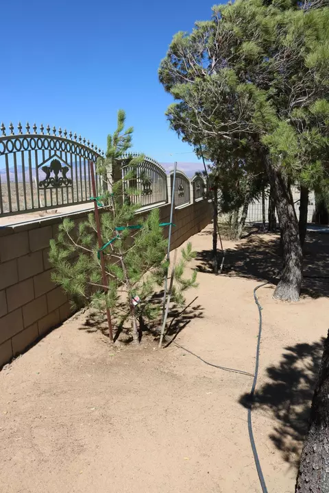 49050 130th St W, Lancaster, CA 93536 photo 43