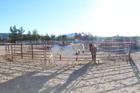 7638 Freestone Ln, Littlerock, CA 93543 photo 33