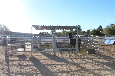7638 Freestone Ln, Littlerock, CA 93543 photo 35