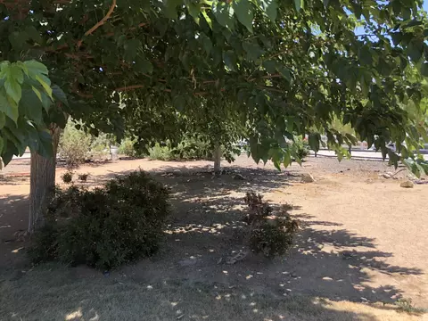 4128 9th St, Acton, CA 93510 photo 26