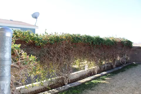 45465 25th St E #78, Lancaster, CA 93535 photo 49