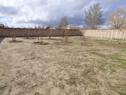 1607 Whitlatch Dr, Lancaster, CA 93535 photo 32