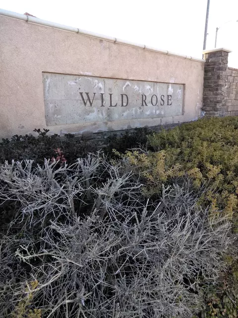 44328 Dusky Willow St, Lancaster, CA 93536 photo 2