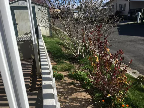 14556 Tehachapi Blvd E #123, Tehachapi, CA 93561 photo 31
