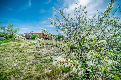 4025 E Ave T-2 E, Palmdale, CA 93552 photo 39