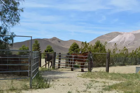 2528 Backus Rd, Mojave, CA 93501 photo 50