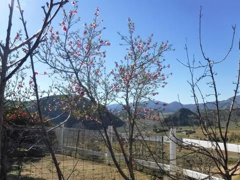 9640 Pine Grove Dr, Tehachapi, CA 93561 photo 13