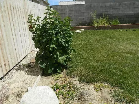 37738 Rockie Ln, Palmdale, CA 93552 photo 10