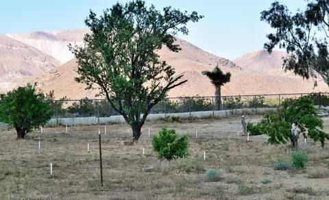 5091 Backus Rd, Mojave, CA 93501 photo 36