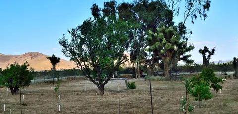 5091 Backus Rd, Mojave, CA 93501 photo 35