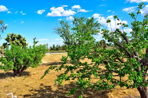 5091 Backus Rd, Mojave, CA 93501 photo 34