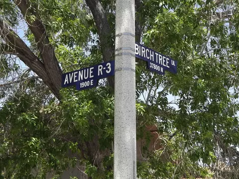 1918 Avenue R3 E, Palmdale, CA 93550 photo 30