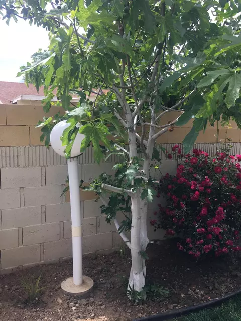 37827 Silk Tree Ln, Palmdale, CA 93550 photo 45