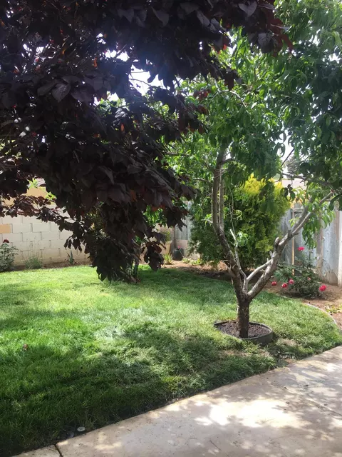 37827 Silk Tree Ln, Palmdale, CA 93550 photo 35