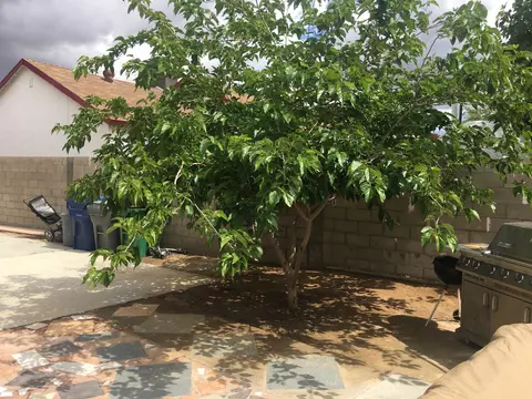 37827 Silk Tree Ln, Palmdale, CA 93550 photo 42