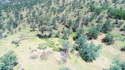 28101 Giruado Rd, Tehachapi, CA 93561 photo 56