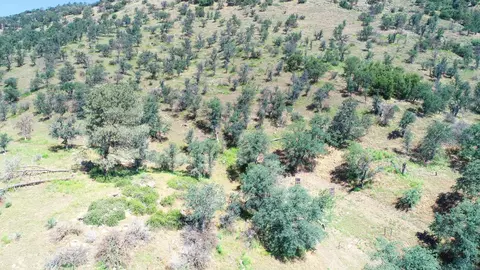 28101 Giruado Rd, Tehachapi, CA 93561 photo 57
