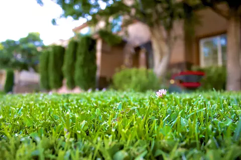 37501 Ruby Red Ln, Palmdale, CA 93551 photo 28