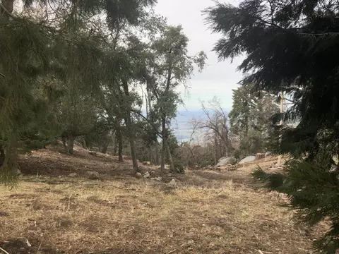 26990 Owl Ct, Tehachapi, CA 93561 photo 27