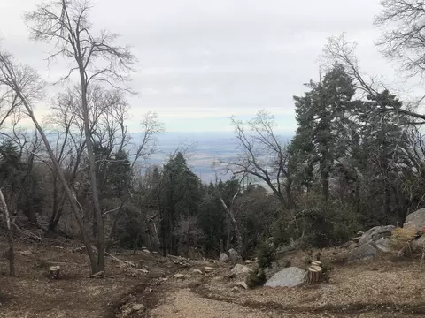 26990 Owl Ct, Tehachapi, CA 93561 photo 17
