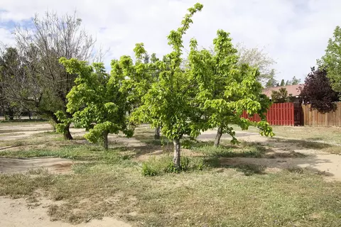 6763 Avenue H E, Lancaster, CA 93535 photo 30