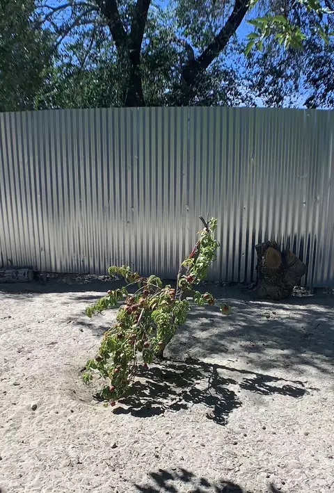 40903 161st St E, Lancaster, CA 93535 photo 24