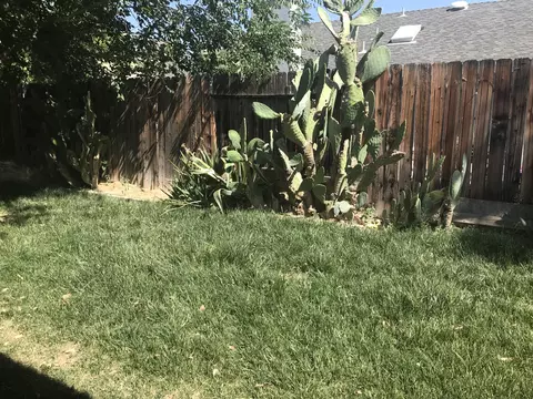 817 Jason Ct, Lancaster, CA 93534 photo 22