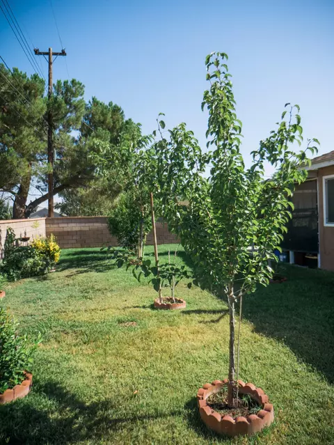 45533 Date Ave, Lancaster, CA 93534 photo 15