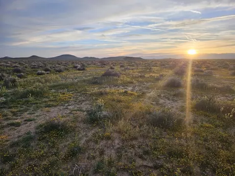 Clay Mine Rd., North Edwards, CA 93523