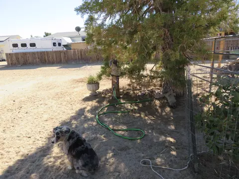 4753 Sunbow Ave, Rosamond, CA 93560 photo 61