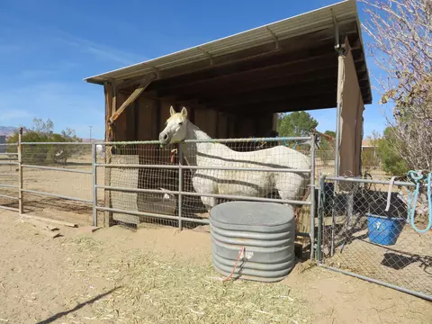 4753 Sunbow Ave, Rosamond, CA 93560 photo 58