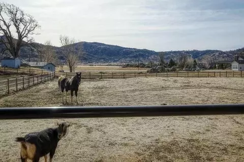 24201 Deertrail Dr, Tehachapi, CA 93561 photo 58