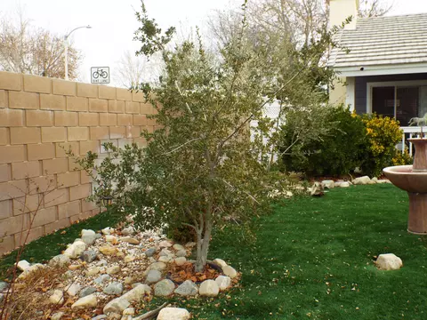 44664 Tarragon Dr, Lancaster, CA 93536 photo 13