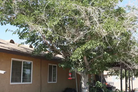 15725 Valeport Ave, Lancaster, CA 93535 photo 12