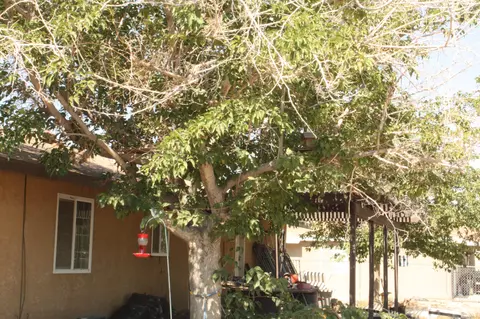 15725 Valeport Ave, Lancaster, CA 93535 photo 2