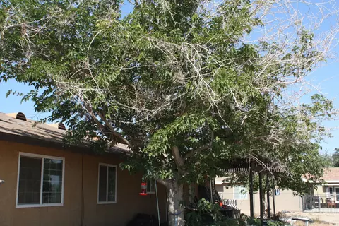 15725 Valeport Ave, Lancaster, CA 93535 photo 13
